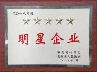 常寶股份榮獲“工業(yè)五星級(jí)企業(yè)”、“納稅金獎(jiǎng)”等多項(xiàng)大獎(jiǎng)156.png